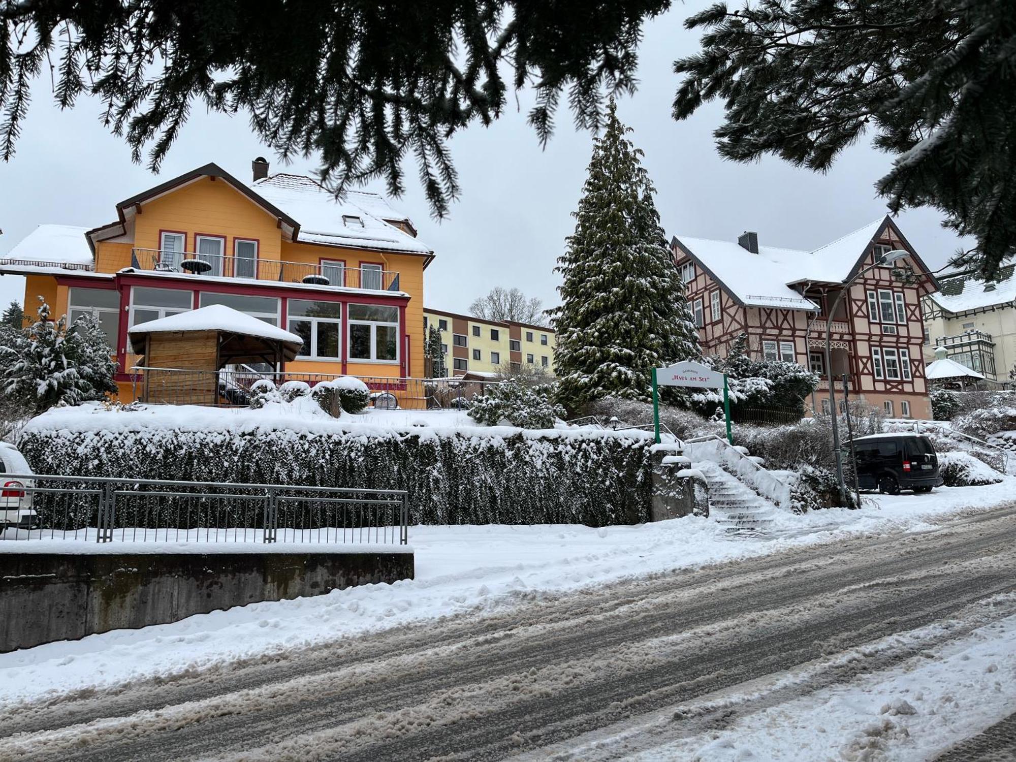 Haus Am See Bad Sachsa Exterior photo
